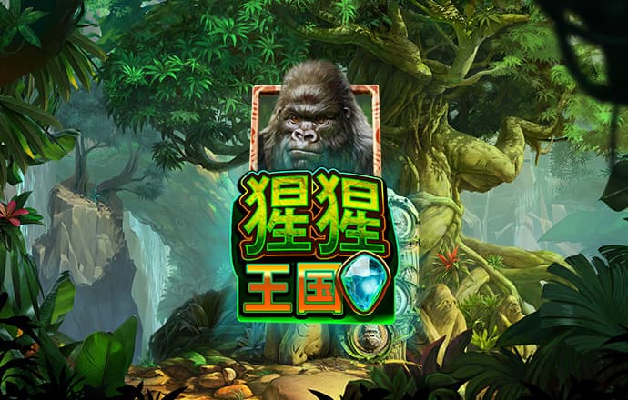 开云全站app下载